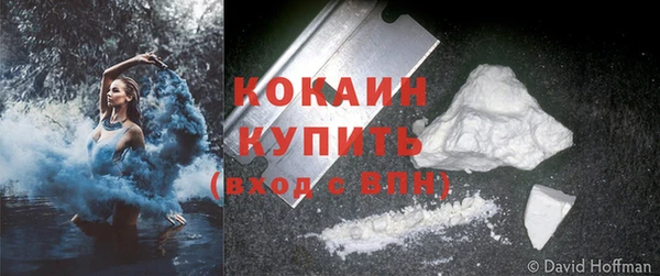 трава Наволоки