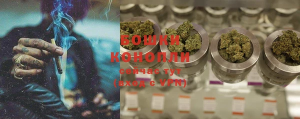 трава Наволоки
