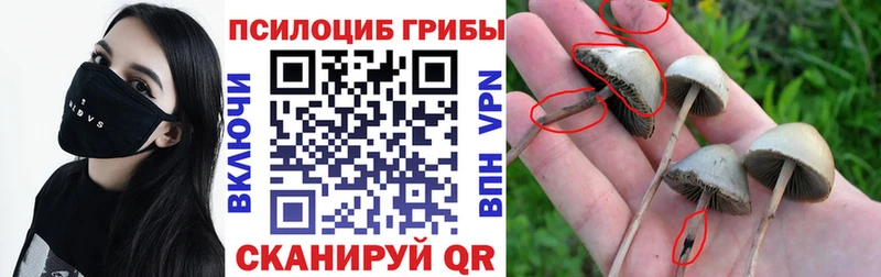 Псилоцибиновые грибы MAGIC MUSHROOMS  Купить где  Фурманов 